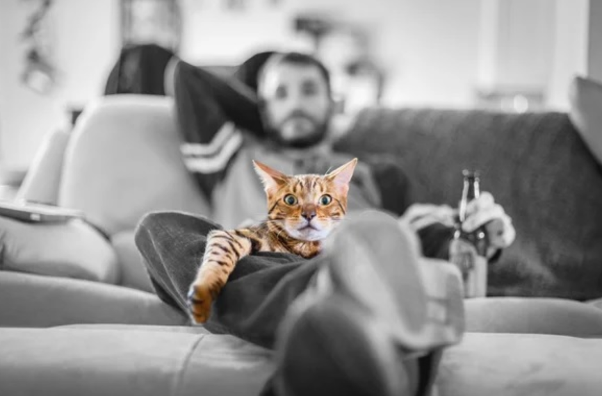 upload_2020-1-1_22-10-32